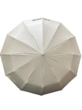 AUTOMATIC UMBRELLA (10523-8)