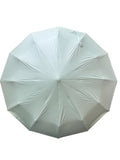 AUTOMATIC UMBRELLA (10523-8)